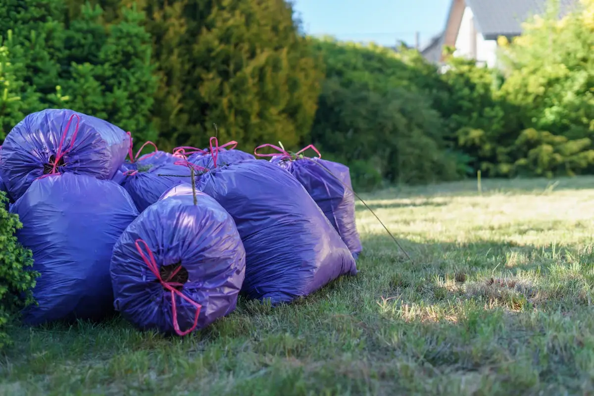 Bagged yard debris ready for removal beside a home
